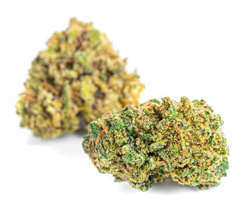 Susz konopny CBD | DIESEL | 5 g na Arena.pl