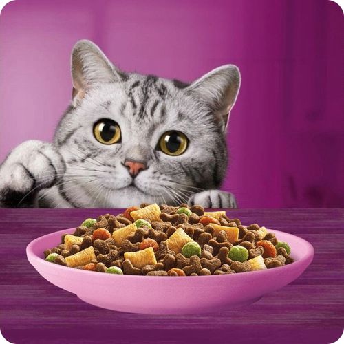 SUCHA KARMA WHISKAS JUNIOR Z PYSZNYM KURCZAKIEM 14KG na Arena.pl