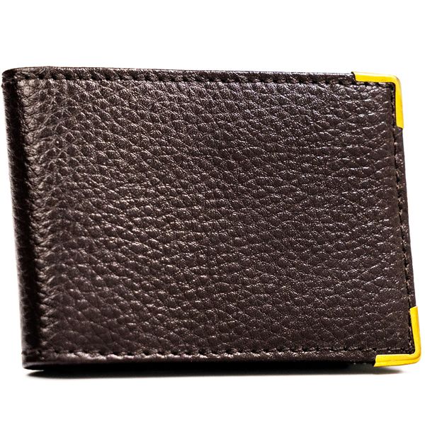 etui na karty skórzane 301-bl-brown zdjęcie 1