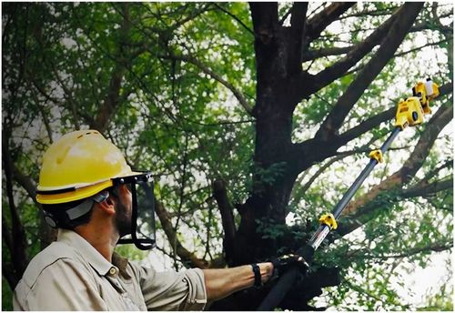 MINI PIŁA ŁAŃCUCHOWA PILARKA GAŁĘZIÓWKA AKUMULATOROWA 4" ZESTAW 2AKU IMOUM na Arena.pl