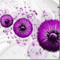 50CM 50CM OBRAZ FIOLETOWE DMUCHAWCE 4 DRUK PŁÓTNO