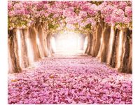 60X50CM ROMANTYCZNA ALEJKA OBRAZ ŚCIAN DREWNIANE