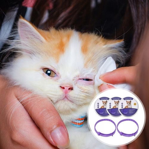 Obroża na pchły i kleszcze dla kota w wieku 8 miesięcy 32 CM na Arena.pl