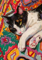 product-compare-59407794