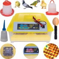 INKUBATOR KLUJNIK WYLĘGARKA JAJ WYLĘGU 56 JAJ GRATIS