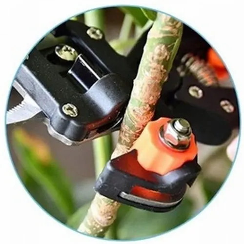 ZESTAW SEKATOR NOŻYCE NOŻYCZKI OGRODOWE DO SZCZEPIEŃ OKULIZACJI DRZEW ETUI na Arena.pl