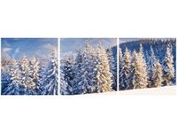 product-compare-58646894