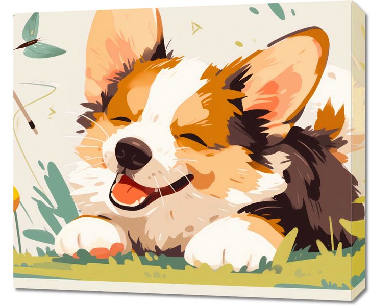 Obraz 70x60cm Beztroski Corgi zdjęcie 1
