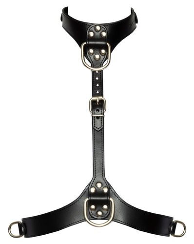 Bad Kitty Chest Harness S-L na Arena.pl