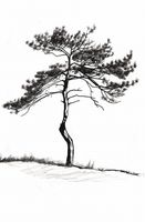 Plakat 56,6x86,4cm Samotna Sosna