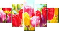 80CM 150CM OBRAZ 5 ELEM ŻÓŁTY TULIPAN ŚCIENNY