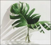 Tło do fotografii produktowej kulinarnej Flat Lay