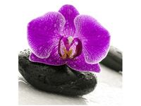 50X50CM STORCZYK KAMIENIU OBRAZ