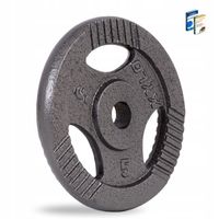 OBCIĄŻENIE ŻELIWNE 5KG talerz kierownica ŻELIWO nakład CIĘŻAR krążek