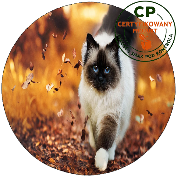 Opłatek na tort Koty zdjęcie 1