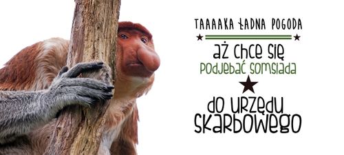 Kubek z nosaczem Urząd skarbowy - 330 ml - magiczny na Arena.pl