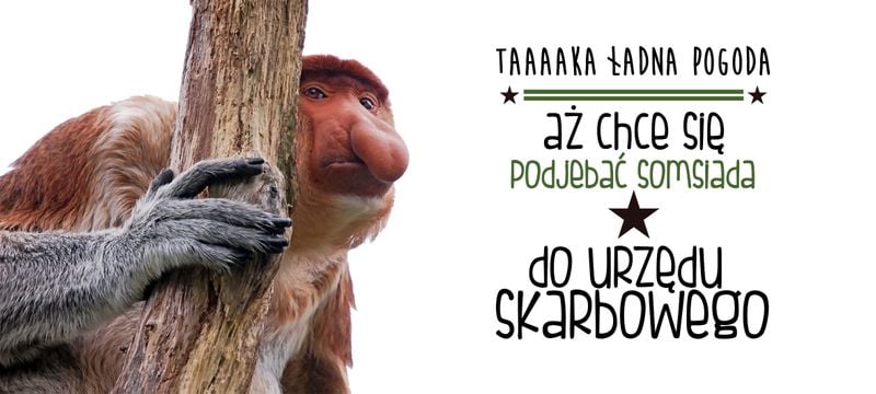 Kubek z nosaczem Urząd skarbowy - 330 ml - magiczny zdjęcie 2