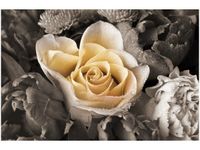 100 70CM OBRAZ PŁÓTNO DELIKATNA RÓŻA PŁÓTNO RAMA