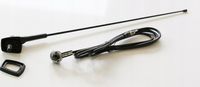 ANTENA DACHOWA DACIA - RENAULT MEGANE SCENIC 95-02