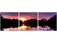 90X30CM ZACHÓD SŁOŃCA WŚRÓD TRZCIN TRÓJ OBRAZ