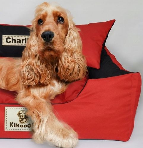 Legowisko dla Psa Kota Kanapa Kojec Z imieniem S 55x45 cm Różne kolory na Arena.pl