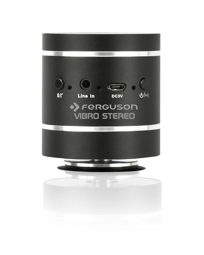 Ferguson Vibro Stereo na Arena.pl