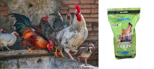 Karma NIOSKA SYPKA Kokoszka Babuni Kampol drób na Arena.pl