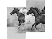 60X60CM STADO BURZY PIASKOWEJ DWU OBRAZ ŚCIAN