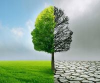 FOTOTAPETA KRAJOBRAZ WIDOK DRZWO PODZIELONE