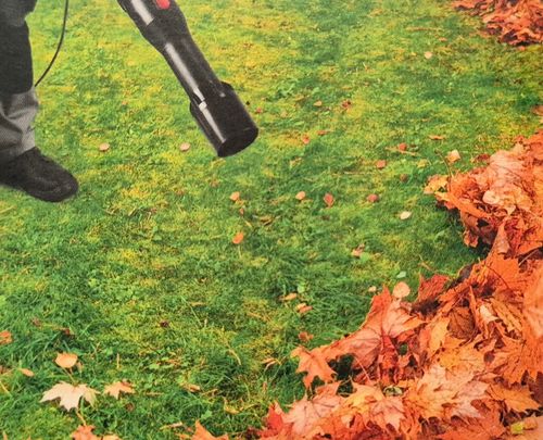 Dmuchawa elektryczne Parkside 3 kg na Arena.pl