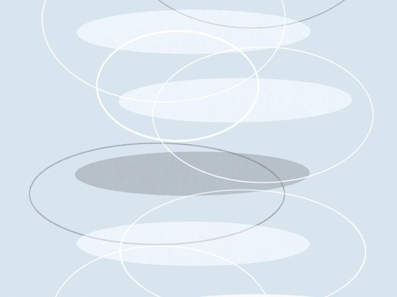 Folia stat. premium FINDUS 45cm x 0,5m zdjęcie 1