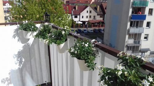 OPASKI ZACISKOWE TRYTYTKI DO MONTAŻU OSŁON MAT BALKONOWYCH na Arena.pl