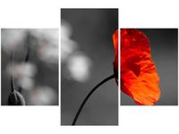 90X60CM OBRAZ SAMOTNY MAK JENNY DOWNING TRZY OBRAZY