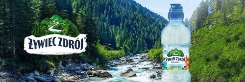 Żywiec Zdrój Zdrojek Niegazowany Woda źródlana ZESTAW 24 x 310 ml na Arena.pl