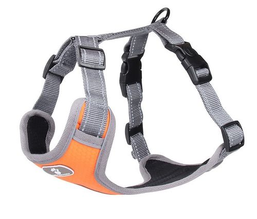 Szelki treningowe spacerowe dla psa ASTRO pomarańczowe rozmiar XL na Arena.pl