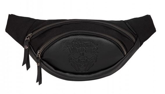 SASZETKA NERKA DISNEY 100 - ALBANY COOLPACK zdjęcie 1