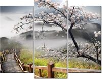 product-compare-58672336