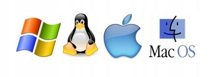 Windows 10 Home PL x64 USB BOX 64 bit KW9-00250 na Arena.pl