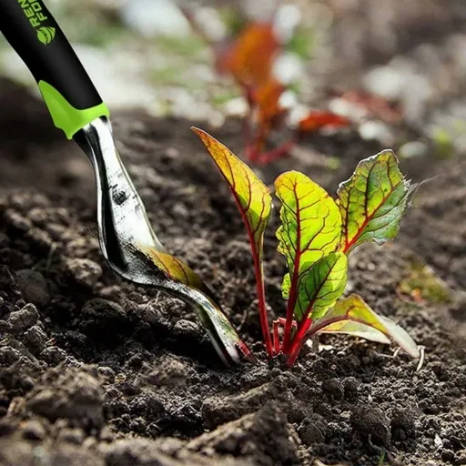 ZESTAW 5 SZTUK NARZĘDZIA DO OGRODU KOMPLET OGRODNIKA zdjęcie 8