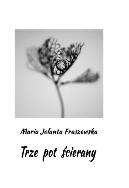 Trze pot ścierany zdjęcie 1