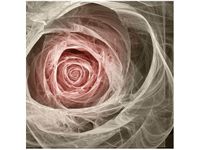 product-compare-58653795