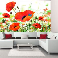 Fototapeta - Country poppies 300x231