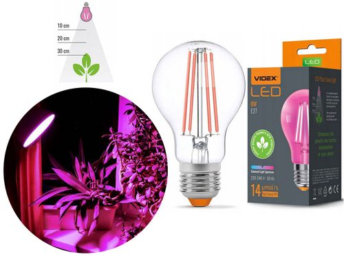 Żarówka do uprawy wzorstu roślin FILA LED 8W E27 VIDEX na Arena.pl