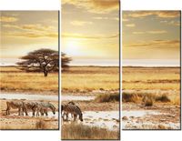60 90CM OBRAZ 3 ELEM SAFARI ŚCIENNY DRUK PŁÓTNO