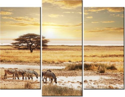 60 90CM OBRAZ 3 ELEM SAFARI ŚCIENNY DRUK PŁÓTNO na Arena.pl