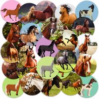 NAKLEJKI NA ZESZYT NALEPKA Z POSTACIAMI KÓŁKO KOŃ HOBBY HORSE WZORY 23EL