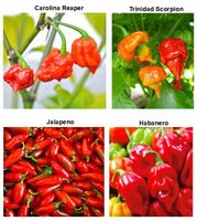 product-compare-57915673