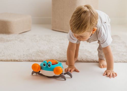 DUMEL DD 30824 Krab Mądrala na Arena.pl