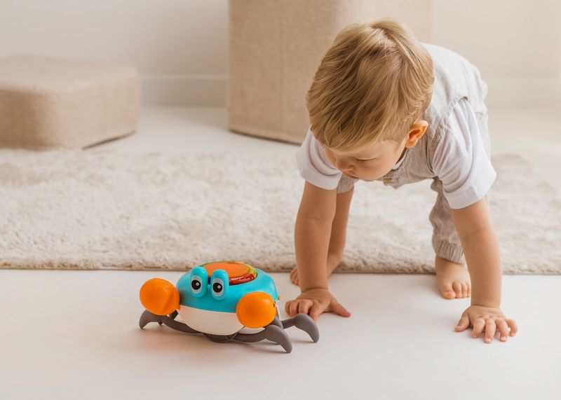 DUMEL DD 30824 Krab Mądrala zdjęcie 2