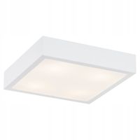 PLAFON LAMPA SUFITOWA ARGON FORM BIAŁY 1701
